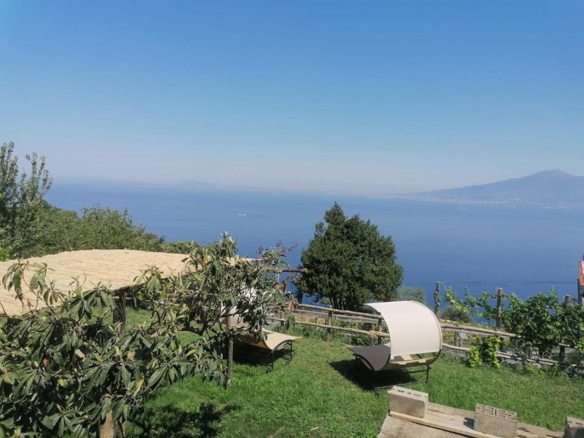 La Badia Montechiaro - Breathtaking View Of Sorrento Coast Villa Вико Екуензе Екстериор снимка
