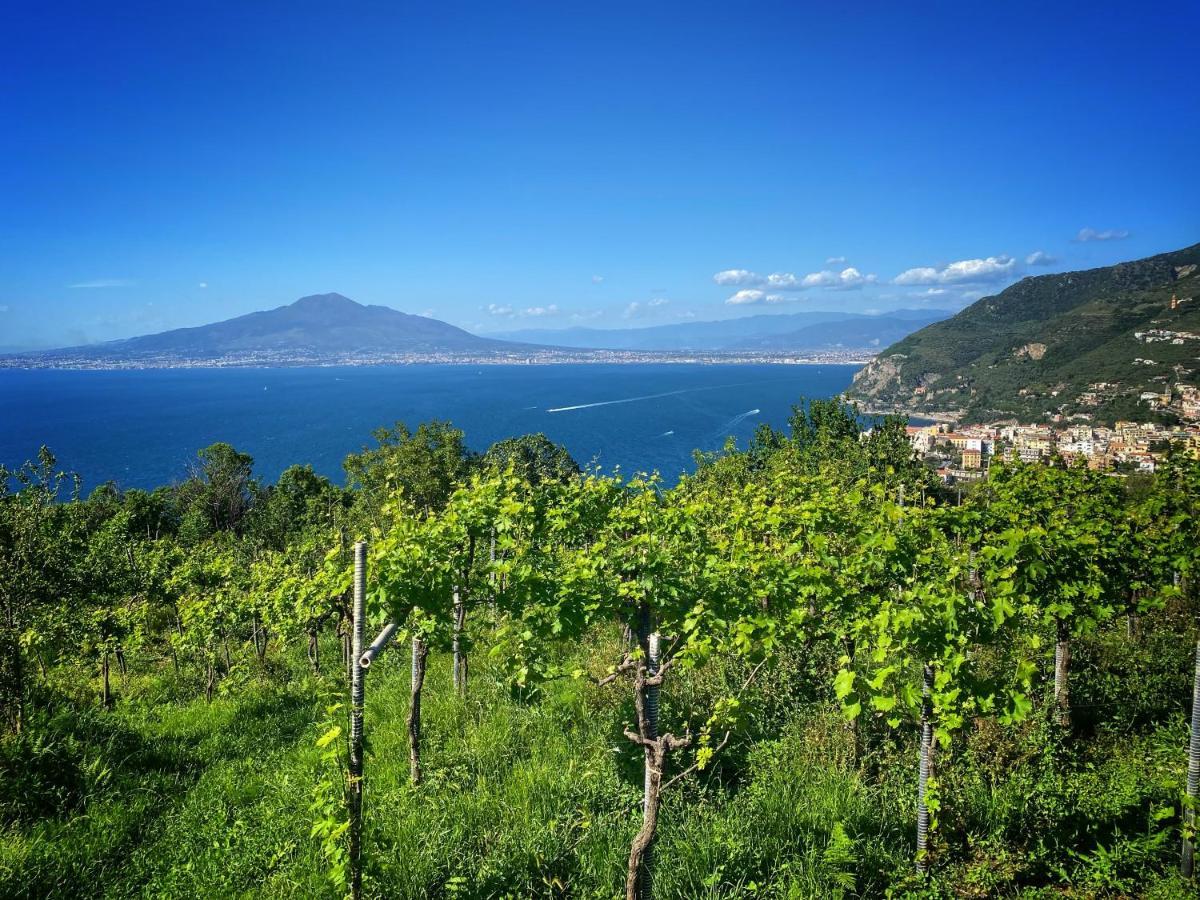 La Badia Montechiaro - Breathtaking View Of Sorrento Coast Villa Вико Екуензе Екстериор снимка