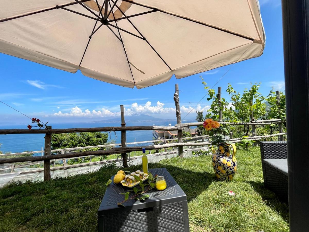 La Badia Montechiaro - Breathtaking View Of Sorrento Coast Villa Вико Екуензе Екстериор снимка