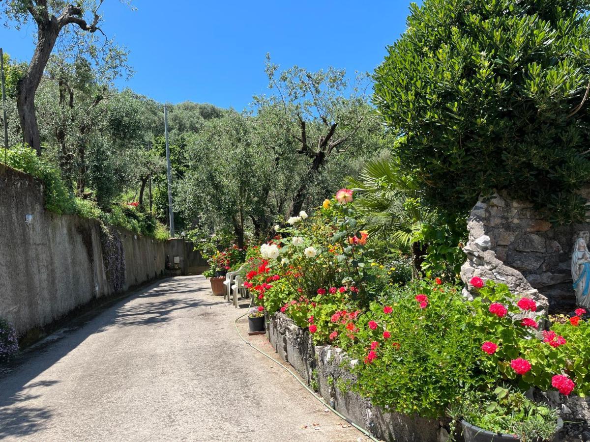 La Badia Montechiaro - Breathtaking View Of Sorrento Coast Villa Вико Екуензе Екстериор снимка