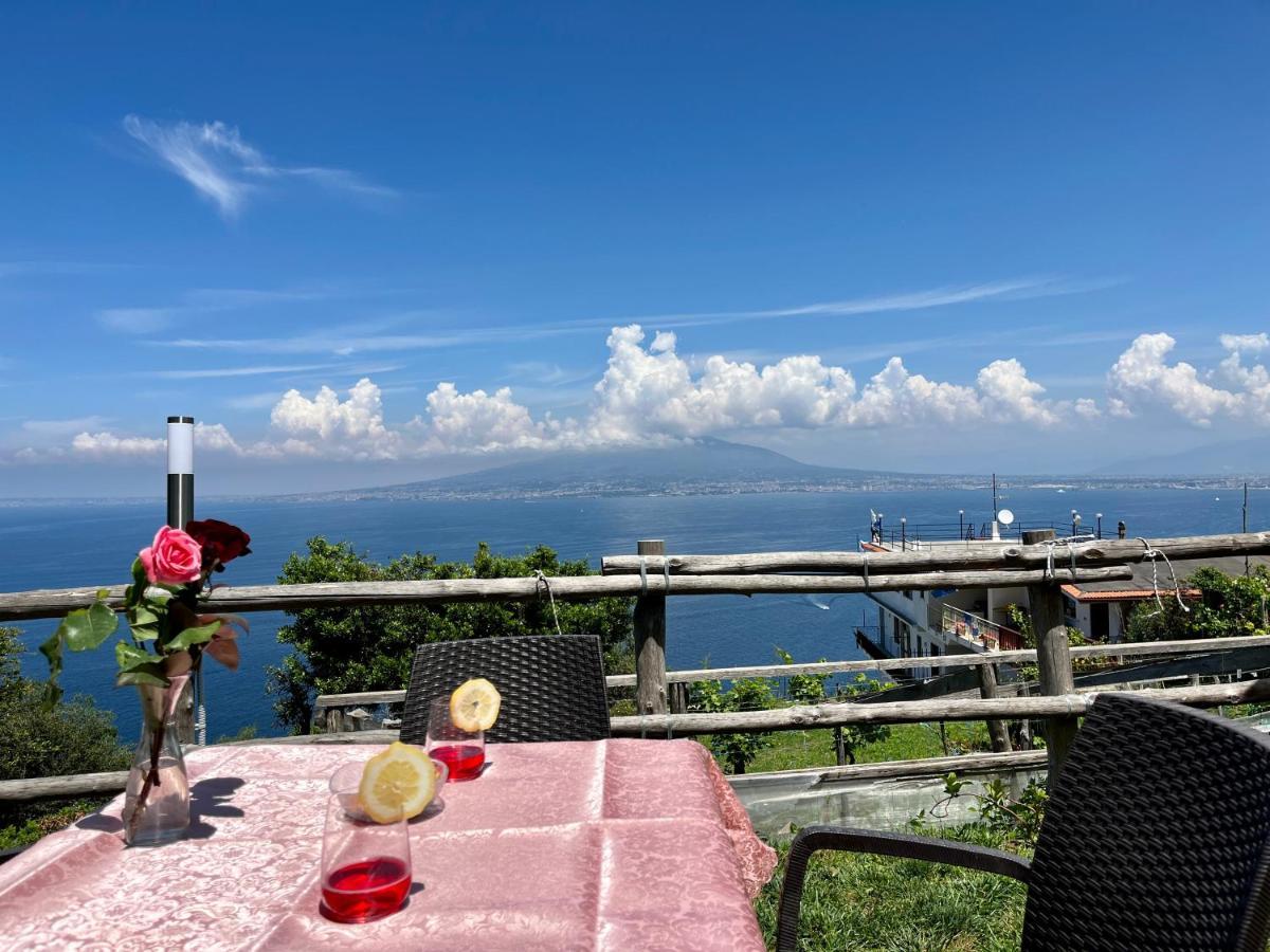 La Badia Montechiaro - Breathtaking View Of Sorrento Coast Villa Вико Екуензе Екстериор снимка