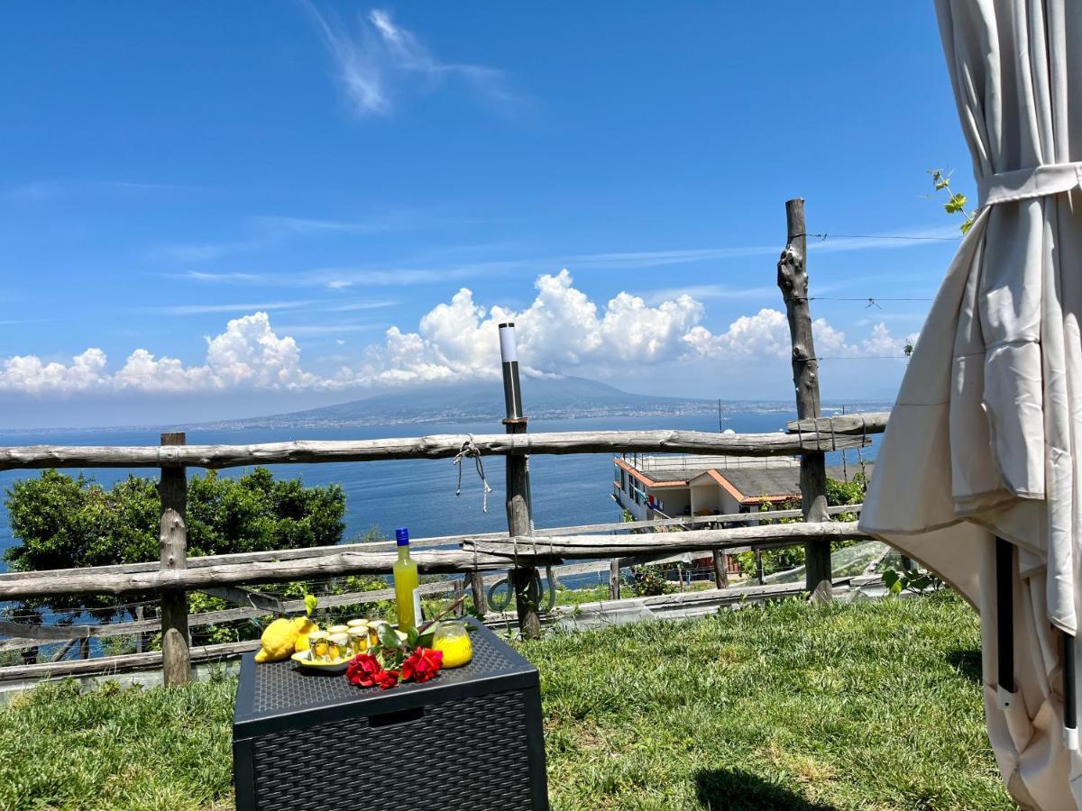 La Badia Montechiaro - Breathtaking View Of Sorrento Coast Villa Вико Екуензе Екстериор снимка