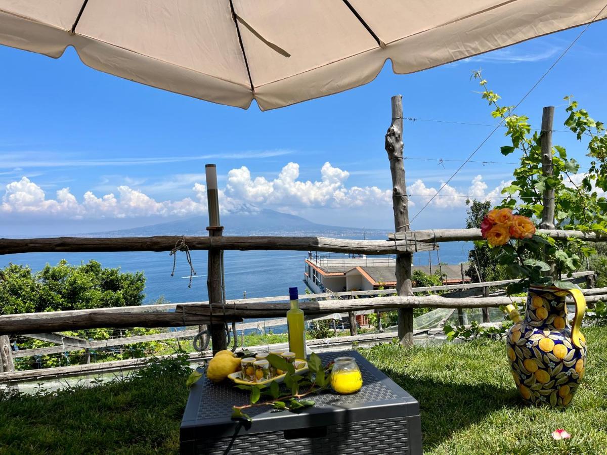 La Badia Montechiaro - Breathtaking View Of Sorrento Coast Villa Вико Екуензе Екстериор снимка